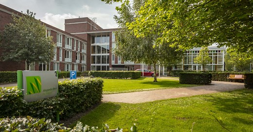 Alegunda Ilberi, Bedum