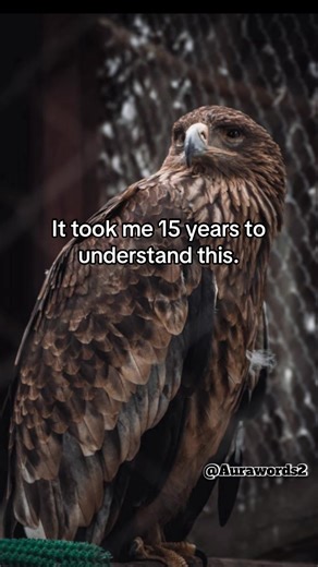 Understanding Importance and Relevance in Life