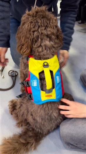 The Miami Boat Show opens today 🌞💦🌴 Come and catch the Spinlock Team at Lobby Space MB71L. Open from February 11th to 15th. See the brand-new VITO AFS: the next evolution in lifejacket design. @miamiboatshow | Spinlock