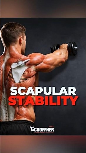 Scapular Stability Exercises