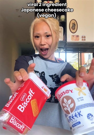 Vegan Japanese Yogurt Cheesecake Recipe