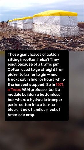 The Traffic Jam That Invented the Cotton Module