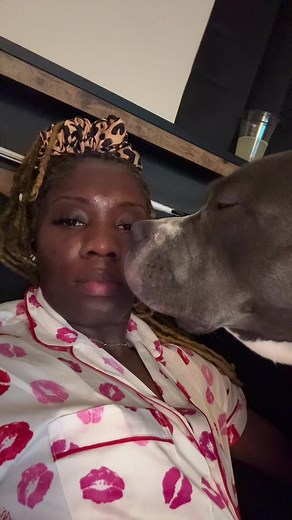 Understanding Clingy Dog Behavior: The Pit Bull Stare