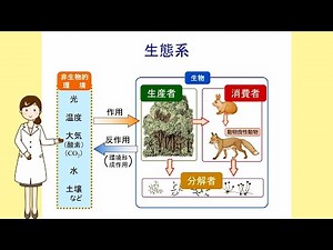 生物基礎27生態系1（生物のつながり）