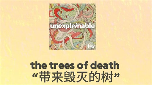 Unexplainable | 百科播客 「中英字幕」- 导致海洋大灭绝的森林