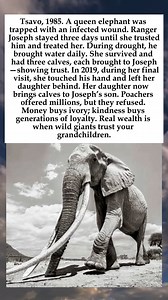 #WildlifeConservation #ElephantStories #GenerationsOfTrust #KindnessOverMoney #TsavoLegacy | The History Canvas