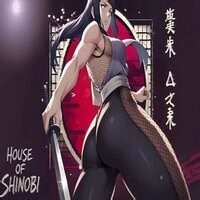 House of Shinobi Ver. 0.23k MOD APK | PAID