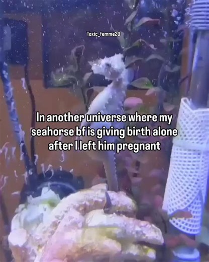 Toxic femme on Instagram: "Follow for more... 🥀 . . . . [Girl ,Girlhood, memes, humor, dark humor, Girly, Pink, gng, queen ,queen behaviour, girly pop, baddies, lore, fine shyt, nonchalant, girl boss, toxic girl, genz, diva] . . . . #memes #memepage #girl #toxicgirl #queenbehavior #queens #girlhood #girlboss #lore #genz #misandry #feminism #patriarchy #girly #relatable #funny #funnyreels #fypシ❤️💞❤️ #fypppppppppppppppppppppppppppppppppppppppppppppppppppppppppppppppppppppp #explore #explorepage 