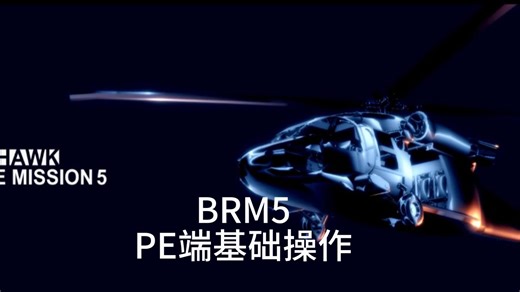 [BRM5] PE端基础操作