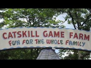 The Abandoned Catskill Game Farm