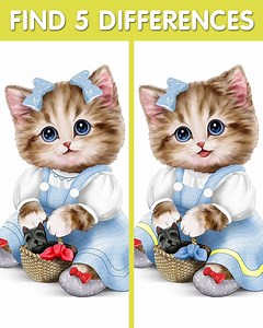 Test your concentration skills | Meow Differences