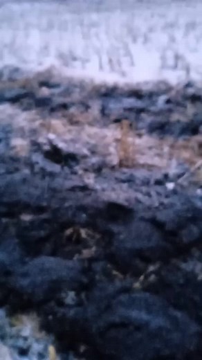 Efficient Snow Plowing with Green Tractor in Rural Field