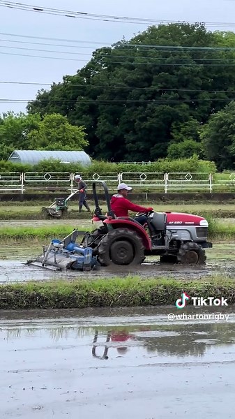 Experience Rice Farming in Japan's Tanbo Fields