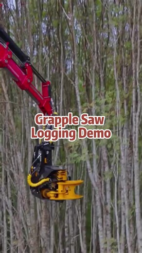 Grapple Saw Logging Demo with Advanced Equipment