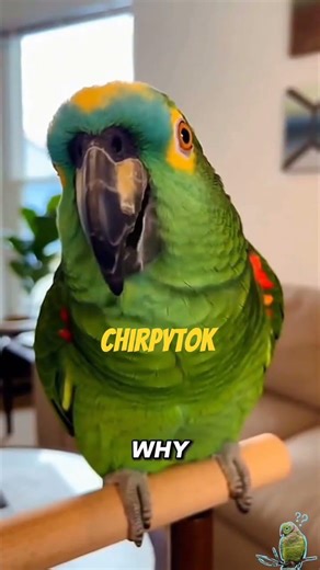 Is your thumb broken?#viralreels#comedy#talkingparrot #parrots#funnyparrot