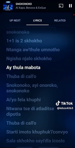 Snokonoko Lyrics and Music Video Breakdown
