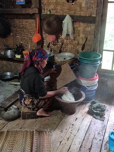 Mini Rice Cooker Recommendations for Delicious Fried Rice