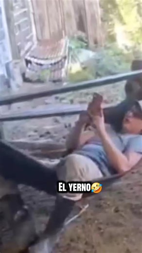 Videos de 🇳🇮✨Alex Bello✨🇳🇮 (@alexbellomartinez) con “sonido original - zorii30t_😈”