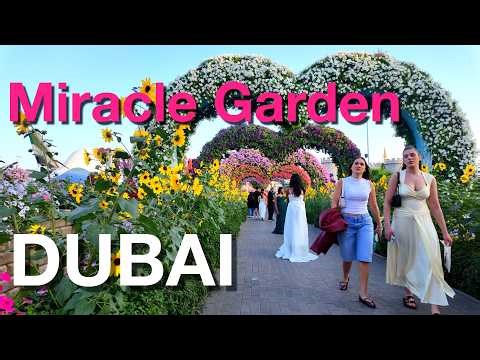 Dubai Miracle Garden Tour 4K | World’s Largest Natural Flower Garden | Dubai UAE | Walking Videos