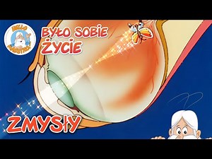 Zmysły | Pełne Odcinki | Było sobie... Życie