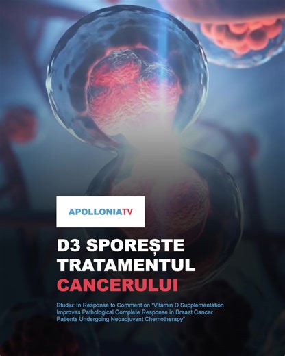 D3 SPOREȘTE TRATAMENTUL CANCERULUI I Vitamina D3 nu este doar un simplu nutrient pentru oase, ci acționează ca un modulator biologic esențial. Mecanismul cheie descoperit recent este că aceasta „deschide porțile” celulare, permițând tratamentului oncologic să inducă moartea programată a țesutului bolnav. Studiile publicate în Nutrition and Cancer arată că, atunci când nivelul este optimizat, corpul poate răspunde de până la 2,3 ori mai eficient în curățarea tumorii, comparativ cu situația în car