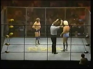 NWA世界ヘビー級選手権　ハーリー・レイス　vs リック・フレアー