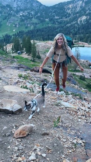 Kaylin Meyer | Adventure Cat Max on Instagram: "What’s your theory? 🐈🐿️ When this happened, I was so confused. I legit thought they meant the chipmunks would torment my cat. Turns out, they thought my cat would terrorize or eat the chipmunks. Wild. 🤯 I know dogs are notorious for chasing squirrels so I imagine they chase chipmunks too. But my cat? Nah. She’s only interested in grasshoppers. 🤷‍♀️ Maybe I’m raising my kid “soft” but I must admit, she’s really well-behaved. Taking the “soft par