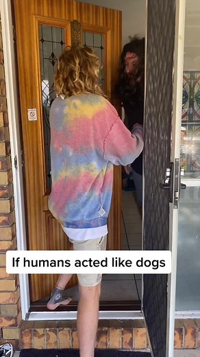 If Humans Acted Like Dogs | Hilarious Scenarios