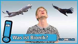 Was ist die Bionik genau?