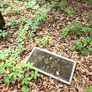 31K views · 1K reactions | Today, the church is gone, but the cemetery remains—and with it, nearly 200 years of untold stories. This is more than just a graveyard—it’s a link between forgotten pioneers, family heritage, and the earliest days of this land’s settlement #history #forgottencemetery #exploration | Adventures Into History | Facebook