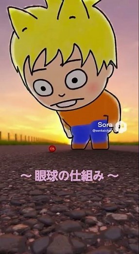 【眼球の仕組み】下がせり上がって来ているように見える！目の仕組み遠近法