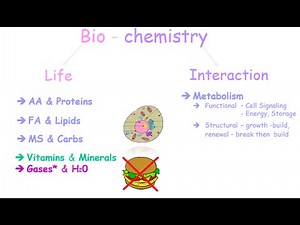 An Introduction to Biochemistry