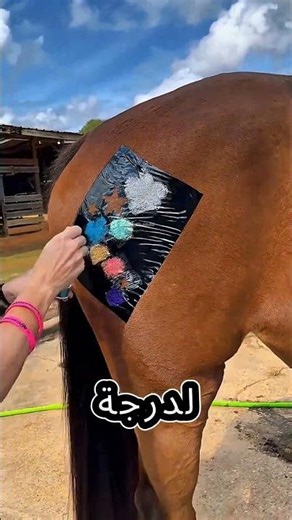 🐎 The horse decoration turned into an unexpected surprise 😱