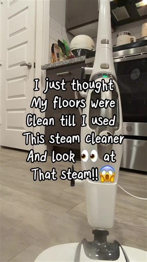 Experience the Power of the Ultimate Steam Cleaner
