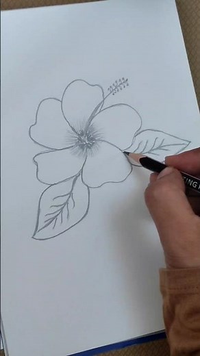 Easy Flower Drawing Tutorial | How to draw a simple Hibiscus Flower #flowerdrawing #drawingtutorial