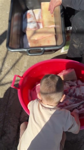Ce facem aici? 👩‍🌾 #copilarie #romania #viatalatara