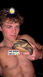 3.8K views · 53 reactions | Is he the world's fastest turtle?!  | Coltyy | Facebook