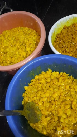 1kg pickle to minimum 500kg pickle startup common housewife 🙏