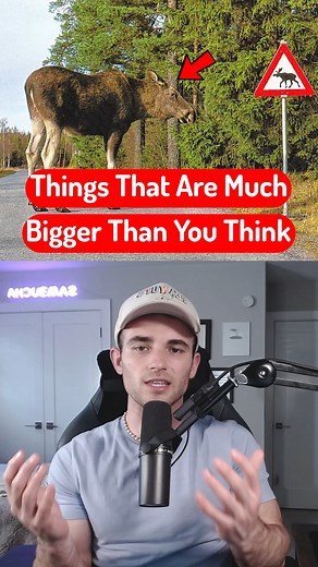 Things That Are Way Bigger Than You Think #size #comparison #facts #big #large #items #education #sambucha | Sambucha