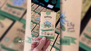 Heirloom Seed Starter Kit: 75 Herb, Vegetable & Flower Varieties - Etsy