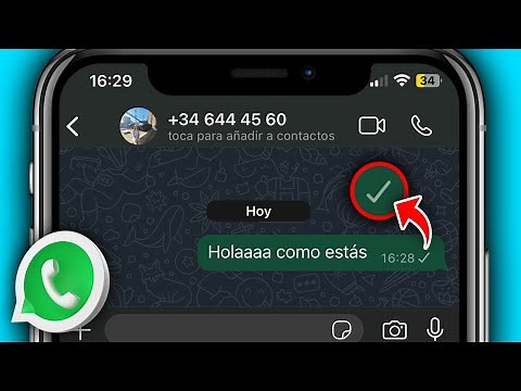Qué Significa Cuando Solo Aparece Una Palomita En WhatsApp (2026)