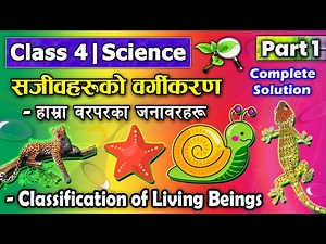 Classification of Living Beings (Part 1) || Class 4 Science || Class 4 Science chapter 4 ||