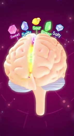 Unlocking Your Taste Buds: The Science of Flavor