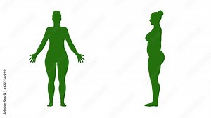 4K Simulation of a fat woman gaining weight and computer design Stock Video