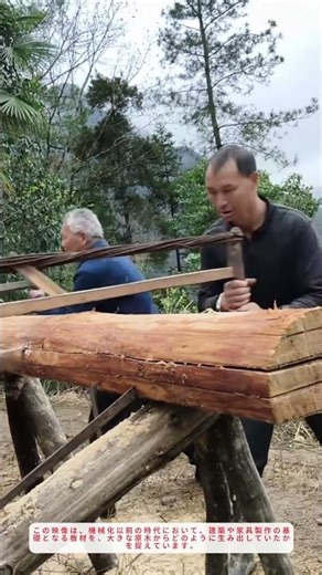 4人で大鋸を引く！チームワークが生む板材の手解き【伝統木工】