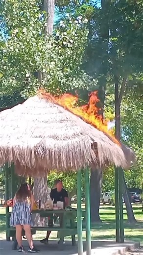 🇨🇱 Ｆｒａｎｃｉｓｃｏ Ｊａｖｉｅｒ on Instagram: "Gracias a la rápida reacción de Benjamín, quien es bombero, la situación fue controlada de inmediato, evitando la propagación del fuego y posibles daños mayores. No se reportaron personas lesionadas. El hecho refuerza la importancia de la prevención y de actuar con calma ante emergencias. Video @glenlobos"