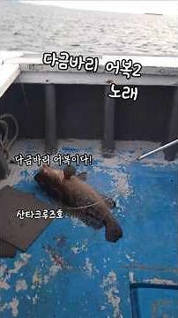 다금바리 어복2 지구 잡고 다금바리 #낚시 #바다낚시 #지깅낚시 #다금바리 #대물 #어복 #손맛 #인생고기 #낚시꾼 #히트 #쇼크리더