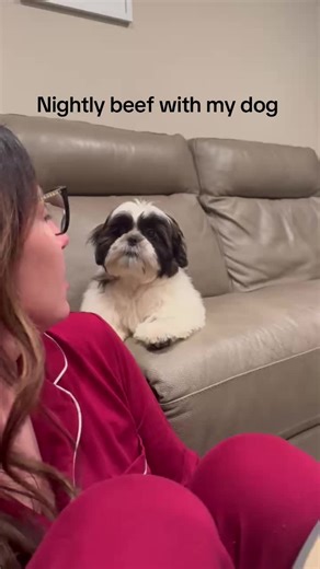 Sassy Shih Tzu Puppy Barking Adventures
