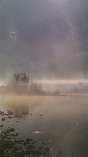 The Lake Isle of Innisfree - William Butler Yates #inspiration #poetry #shorts