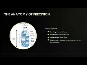 Bearings for Electrical Motors – Complete Guide
